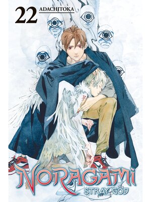 Noragami: Stray God, Volume 22 - ebook